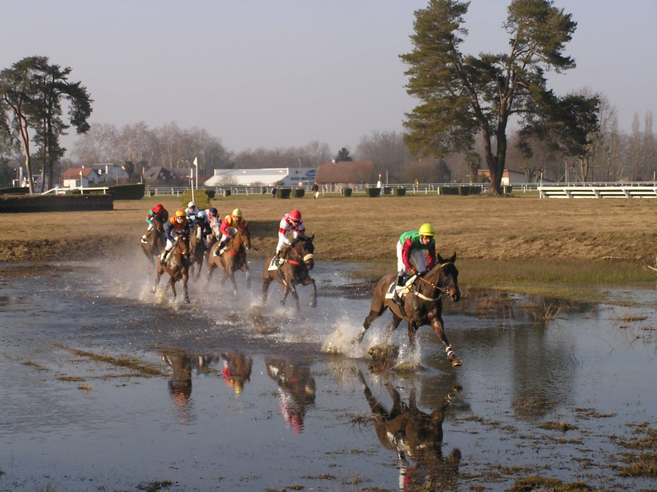 Clinique Equine de Sers - Médecine sportive